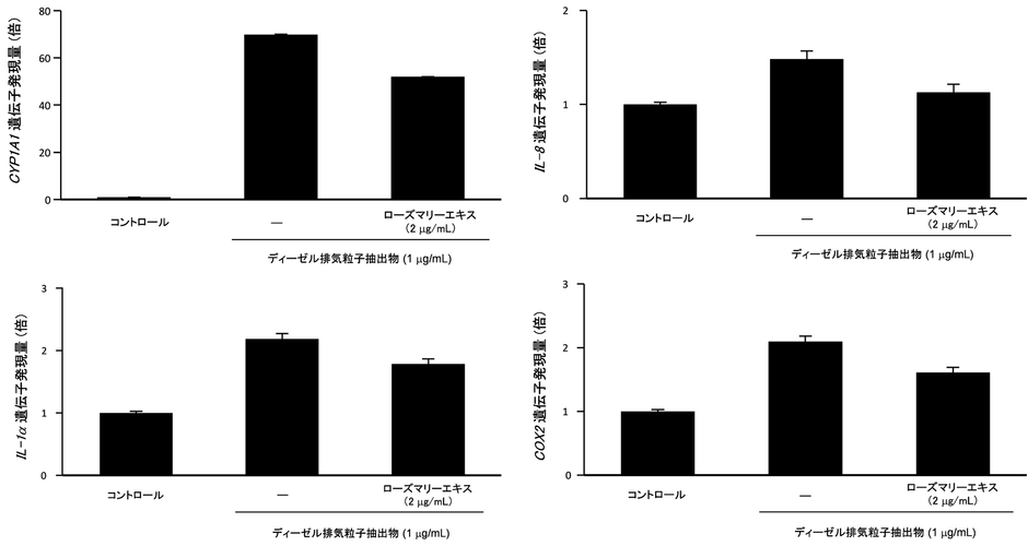 図2 ローズマリーエキスのディーゼル排気粒子抽出物による、薬物代謝酵素及び炎症関連遺伝子発現上昇抑制効果