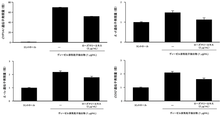 図2 ローズマリーエキスのディーゼル排気粒子抽出物による、薬物代謝酵素及び炎症関連遺伝子発現上昇抑制効果