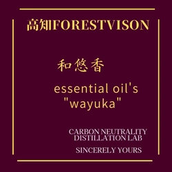 高知FORESTVISION株式会社