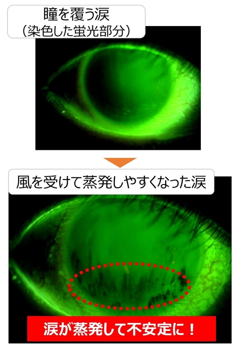 実験結果:涙が蒸発