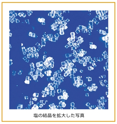 【解説】