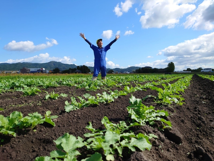 10月下旬の畑の様子