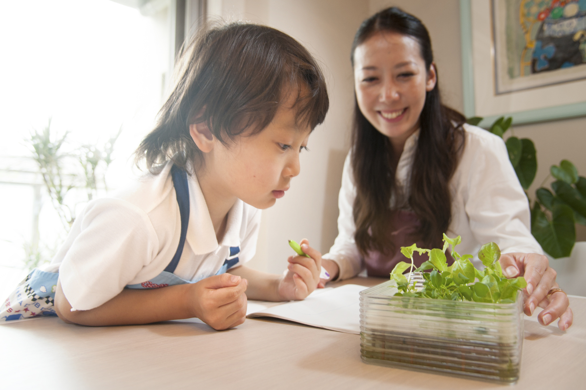 夏休みの自由研究に「報知ファミリー水耕栽培教室」8月2日オンラインで開催