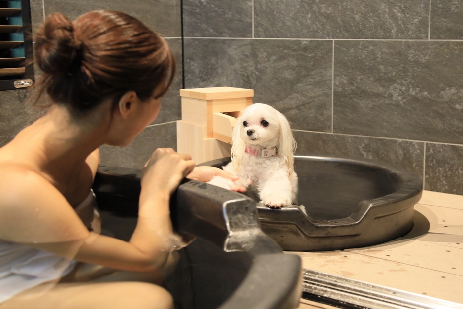 ゆるり箱根with DOGS