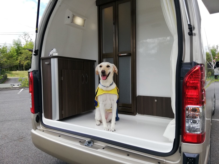 介助犬と「レクビィ・カントリークラブ」の防水マルチルーム