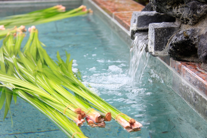 昨年の「菖蒲の湯」