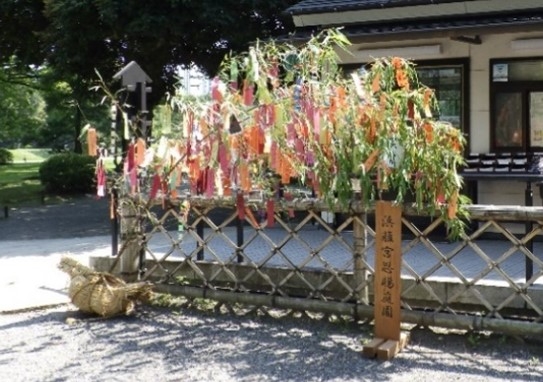 七夕飾り（昨年度の様子｜浜離宮恩賜庭園）