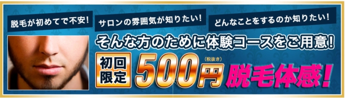 初回限定500円脱毛体感！