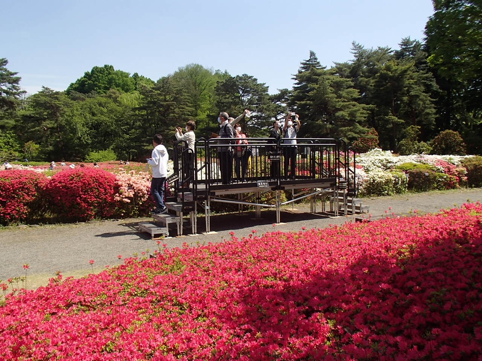 つつじ園見晴らし台（過去の様子）