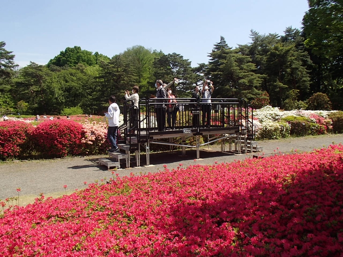 つつじ園見晴らし台(過去の様子)