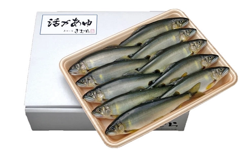 今が旬の香魚“鮎”を用いた「活〆あゆ」「あゆの塩焼き」を 含む商品を期間限定・送料無料で販売開始