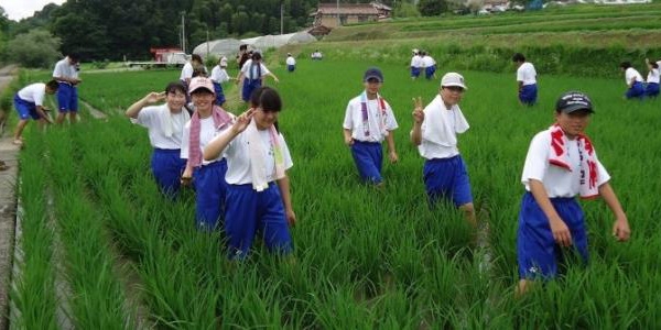 昨年度は豪雨災害で中止のため、写真は一昨年度の様子