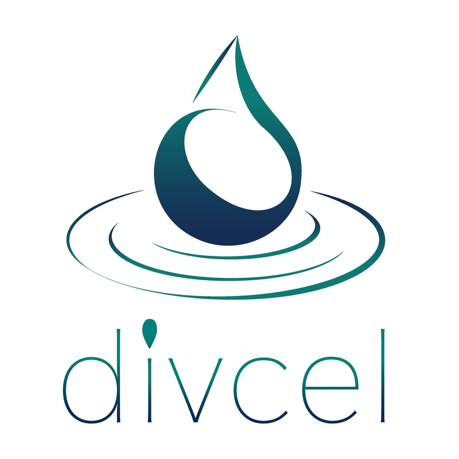 divcelロゴ
