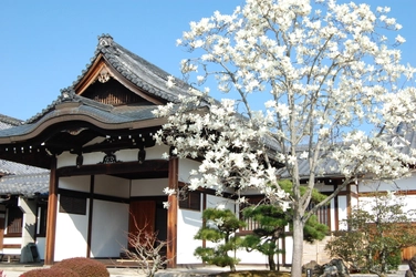 「シニア観光ガイド養成講座」受講者を3月31日(木)まで募集！ ～一緒に京都の名所を案内しませんか？～