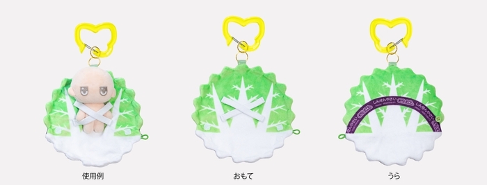 はくさい:広げた状態の使用例・おもて・うら