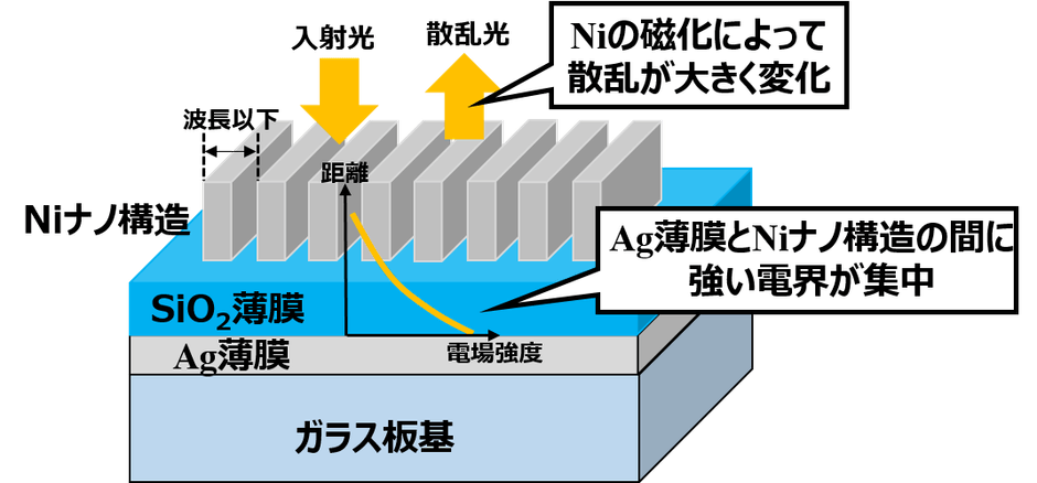 図1　Niナノ周期構造とAg薄膜による磁場検出。Niナノ周期構造とAg薄膜の間に非常に強い光電界が集中します。そのためNiの磁化によって散乱光が大きく影響を受け、反射率が変化することで磁場検出を行います。