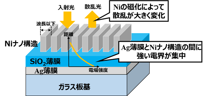 図1 Niナノ周期構造とAg薄膜による磁場検出。Niナノ周期構造とAg薄膜の間に非常に強い光電界が集中します。そのためNiの磁化によって散乱光が大きく影響を受け、反射率が変化することで磁場検出を行います。
