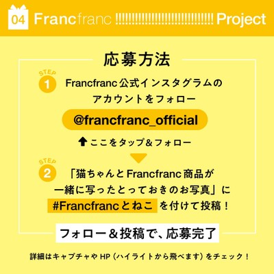 第4弾「あなたの愛猫がモデルデビュー!」