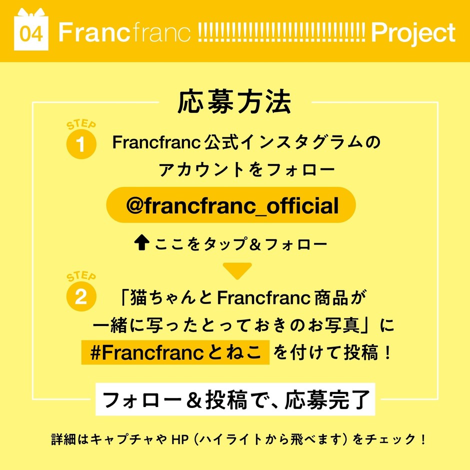 第4弾「あなたの愛猫がモデルデビュー!」