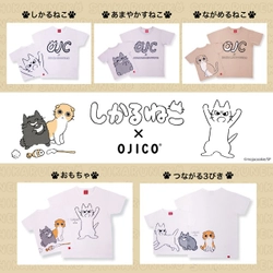 先行予約でも好評！「しかるねこ」と「OJICO」のコラボレーションTシャツが入荷！