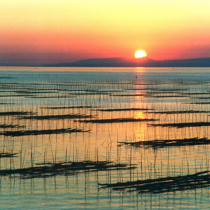有明海 河内塩屋の風景