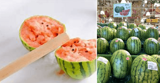 すいかイベント開催　※画像はイメージです※