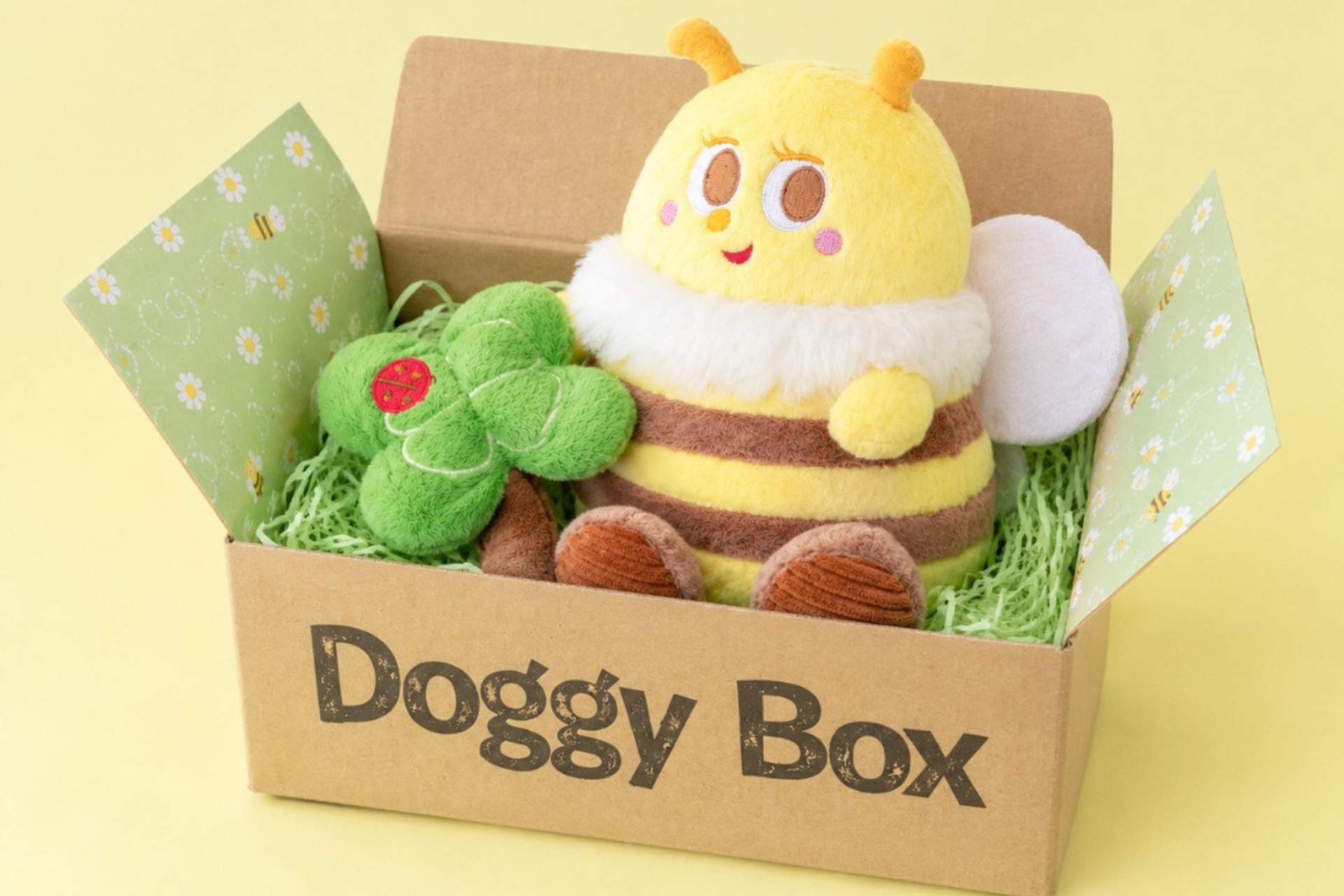 「Doggy Box」と特別コラボ 10月5日オープンの熱海・愛犬リゾート新別棟で<期間限定オープニングキャンペーン>開催