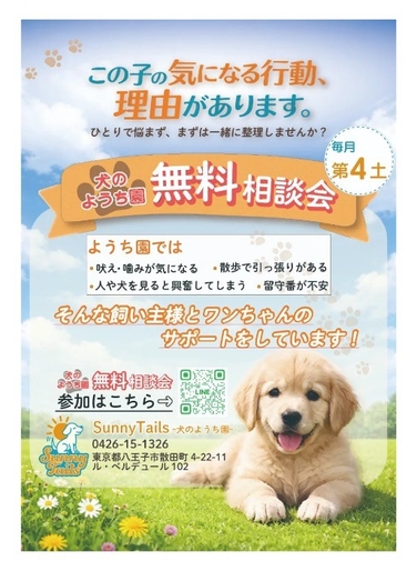 『サーテイルズ無料相談会』開催中 