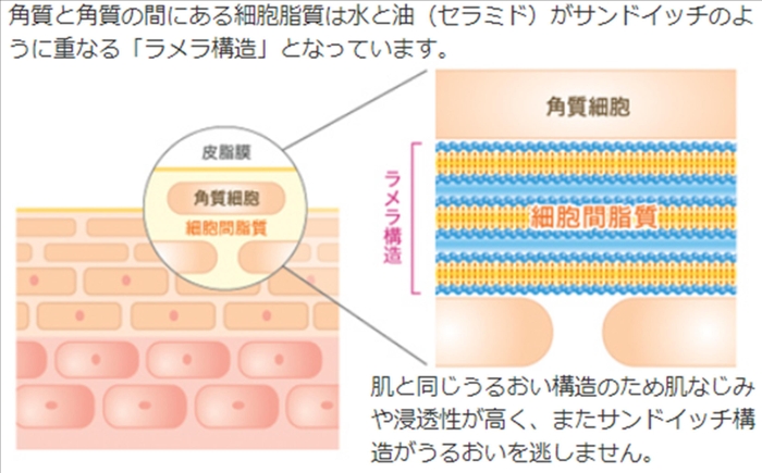 ラメラ構造(液晶乳化)