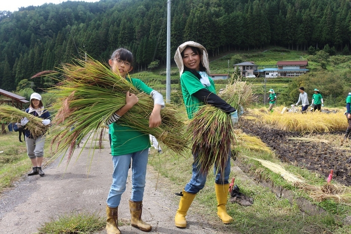 苗オーナーに代わりスタッフが美活植物の栽培を行います