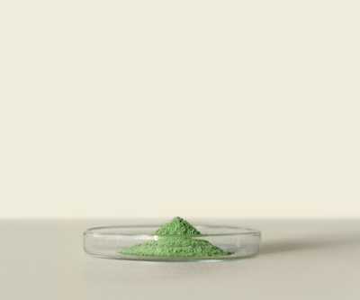 日常に寄り添う新ブレンド“Maya Ceremonial Matcha”