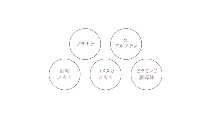 相乗効果を高める様々な美容成分を配合