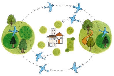 都市の生物多様性フォーラム