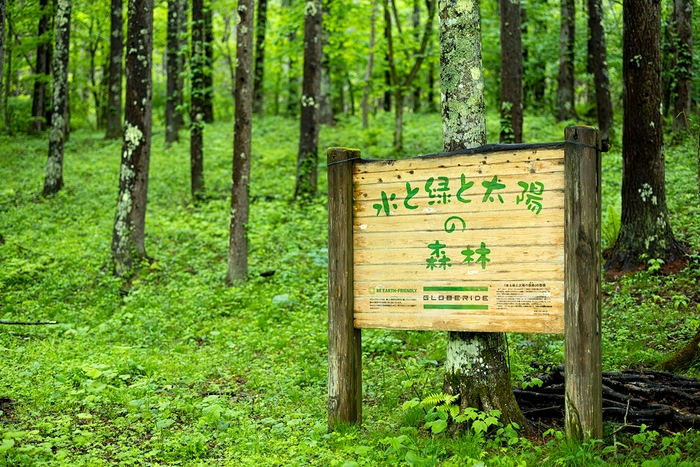 2005年より環境保全活動の一環として「グローブライドの森林」を契約し、地域の森林づくりを支援。