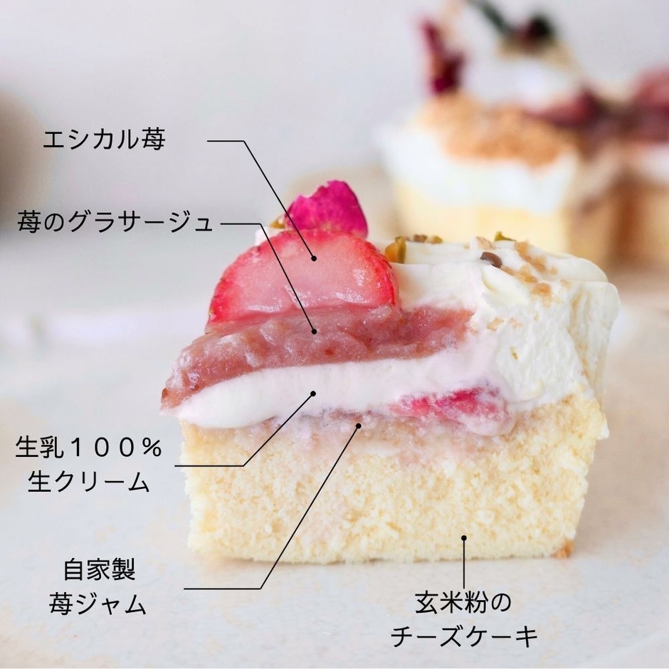 2024seedクリスマスケーキ3