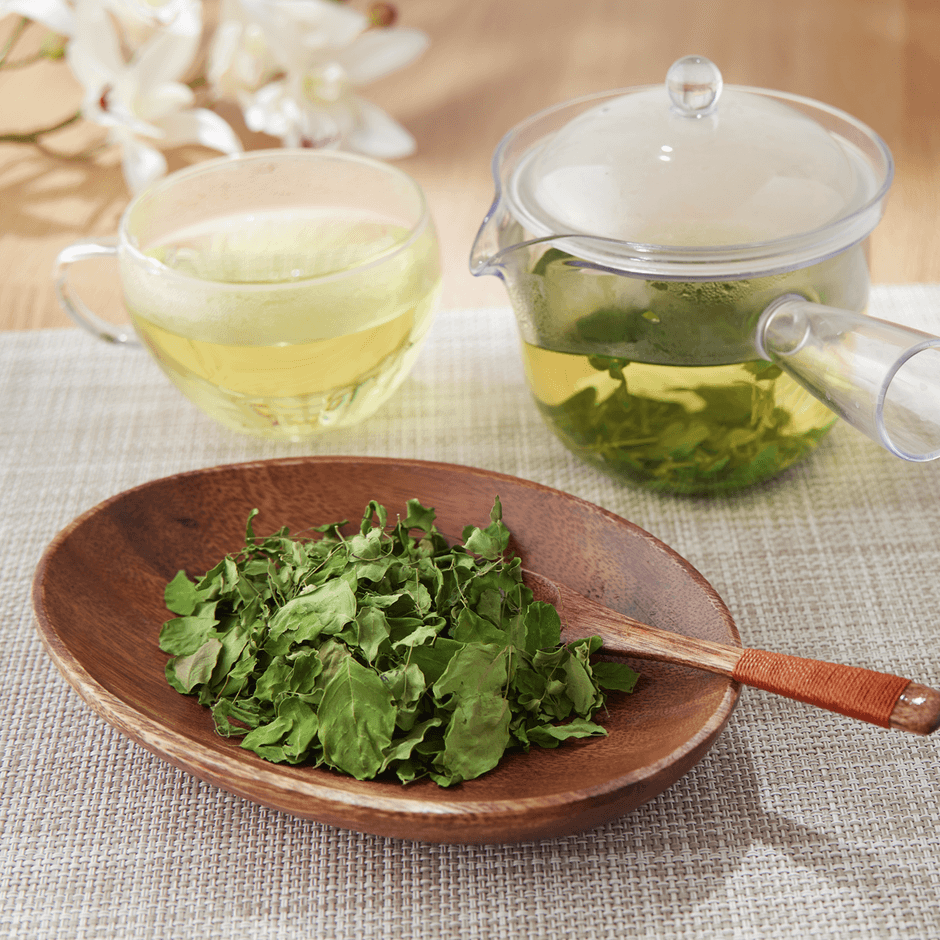 モリンガドライリーフ イメージ