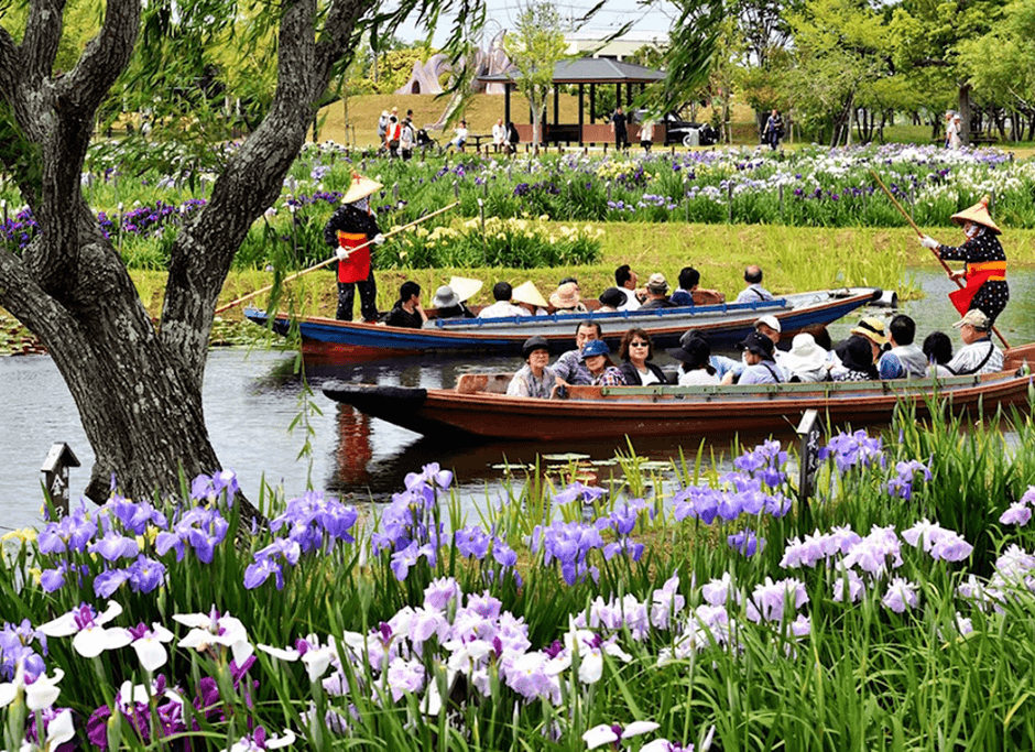 水郷佐原あやめパーク