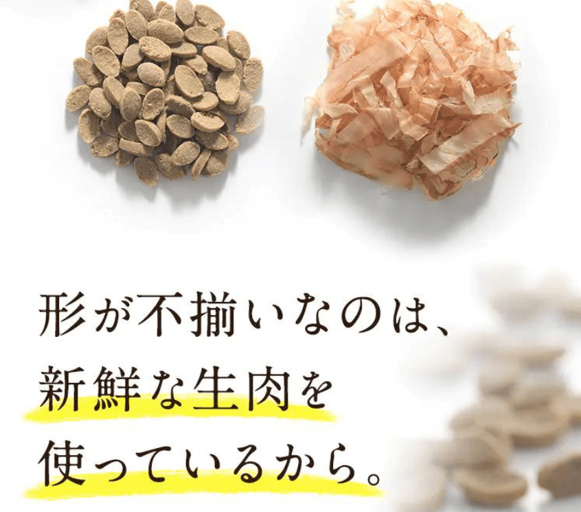 粒サイズのイメージ