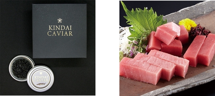 近大キャビア10g(1箱)(左) 近大マグロセット(右)