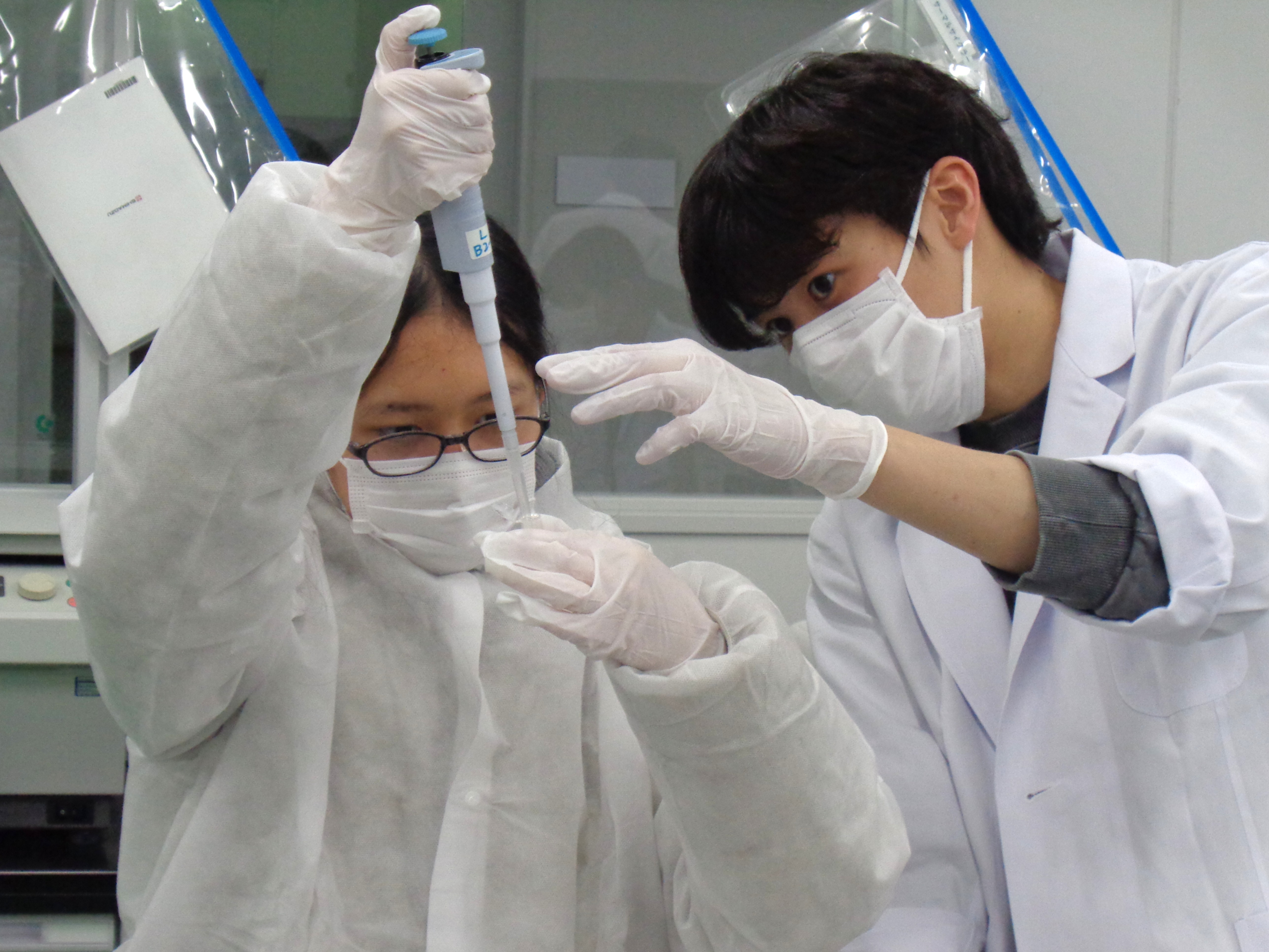 夏休み企画！中学生が「がん」を科学する！ひらめき☆ときめきサイエンスin 森ノ宮医療大学を開催！