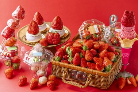 【いちご専門店 いちごBonBonBERRY】 今が旬の静岡いちごを味わい尽くすいちごの祭典！ いちごいっぱいの収穫祭を2月8日(土)から開催！