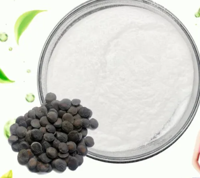 世界の5-ヒドロキシトリプトファン(5-HTP)市場の競争環境分析と主要企業ランキング2026