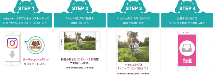 キャンペーンの流れ