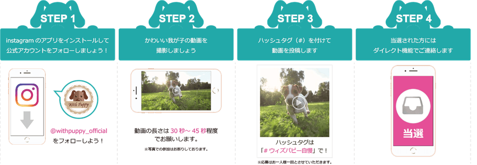 キャンペーンの流れ