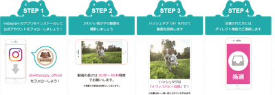キャンペーンの流れ