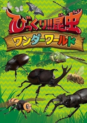 びっくり!!昆虫ワンダーワールド