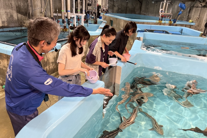 サメスぺシャルツアー