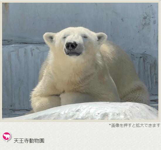 地点情報一例（天王寺動物園）