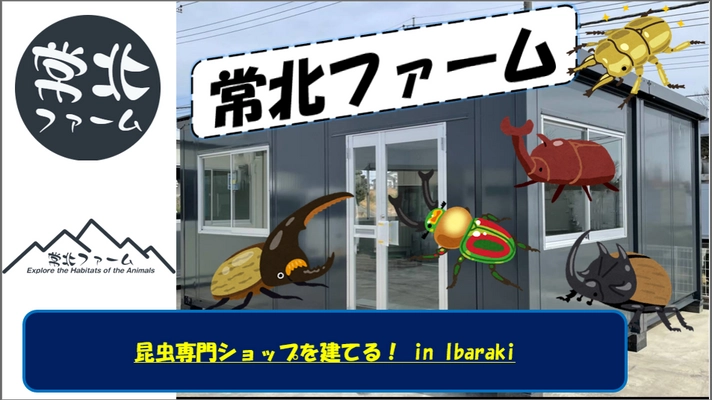 茨城のカブトムシ・クワガタ専門ショップ「常北ファーム」、 新店舗建設のためクラウドファンディングを7月27日に開始！