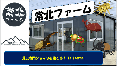 新店舗(予定)